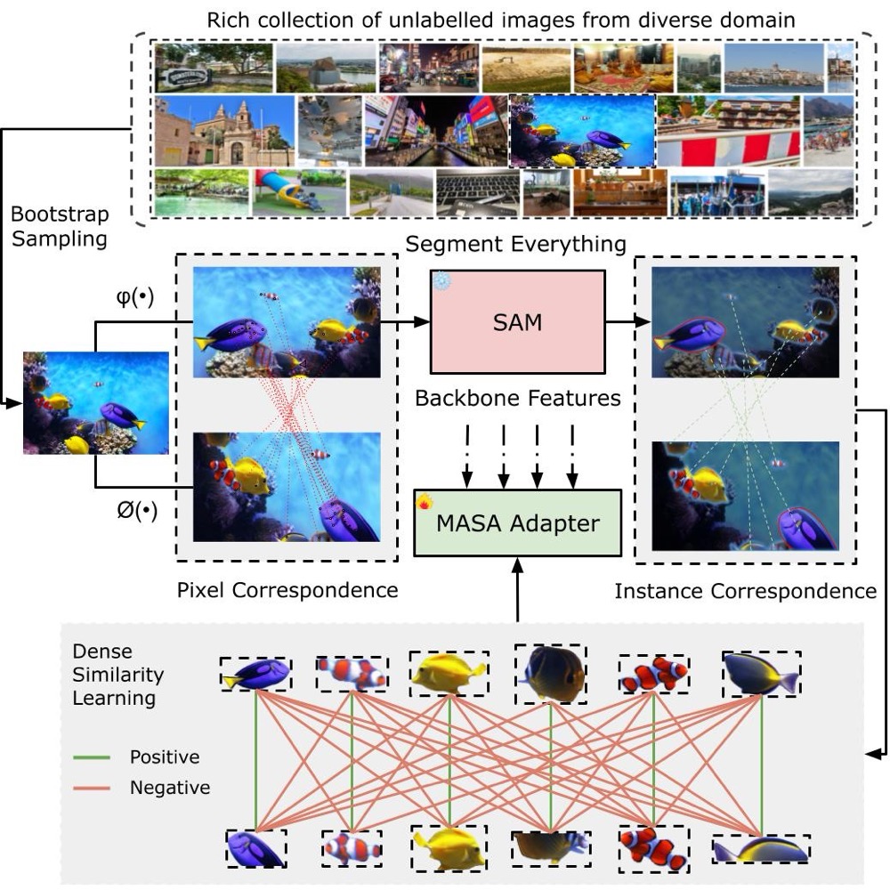 MSc Computer Vision: Matching Anything by Segmenting Anything (MASA)